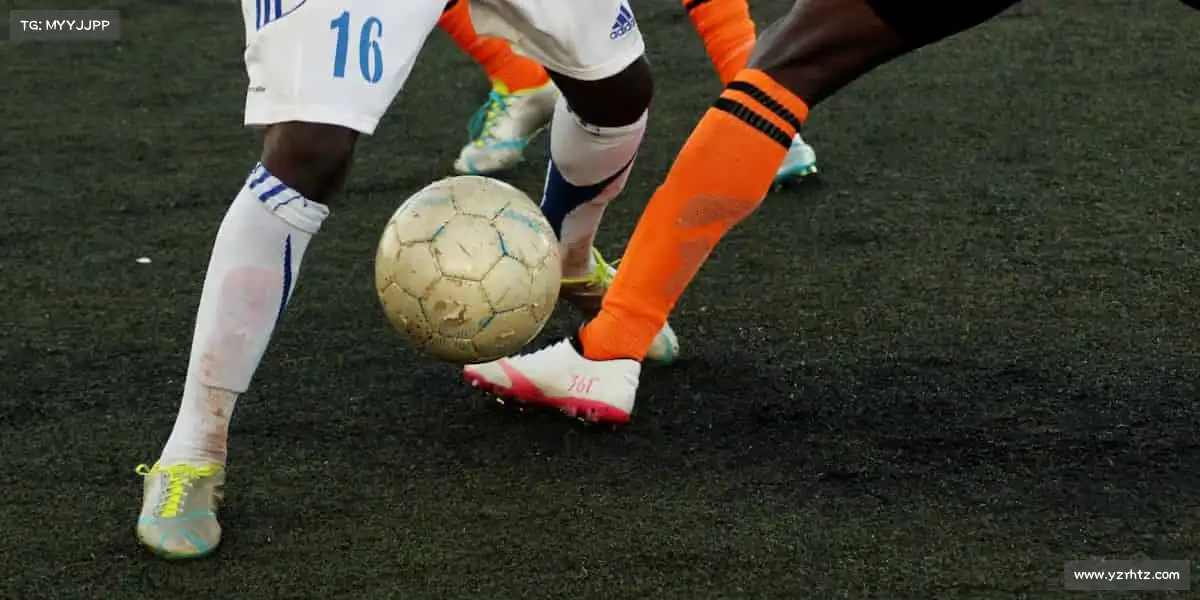 为什么选择我们